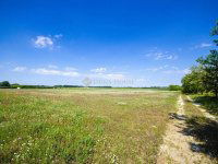 Eladó ipari ingatlan