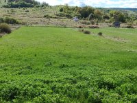 Eladó telek, Varbón 5.5 M Ft / költözzbe.hu