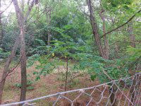 Eladó telek, Gombán 9 M Ft / költözzbe.hu