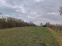 Eladó mezogazdasagi ingatlan, Balatonalmádiban 15 M Ft