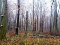 Eladó mezogazdasagi ingatlan