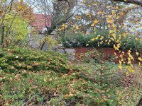 Eladó telek, Szentendrén 38.9 M Ft / költözzbe.hu