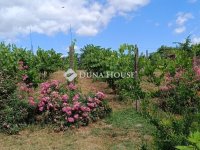 Eladó mezogazdasagi ingatlan, Enyingen 11.5 M Ft, 1 szobás