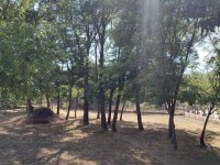 Eladó telek, Dunaalmáson 10.5 M Ft / költözzbe.hu