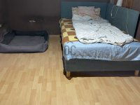 Eladó családi ház, Bonyhádon 13.99 M Ft, 3 szobás