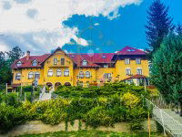Eladó hotel, Domonyban 420 M Ft, 35 szobás / költözzbe.hu