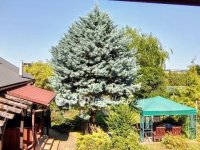 Eladó családi ház, Győrújbaráton 92.9 M Ft, 2+1 szobás