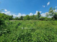 Eladó telek, Mihályházán 2.55 M Ft / költözzbe.hu