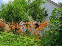 Eladó mezogazdasagi ingatlan, Enyingen 11.5 M Ft, 1 szobás