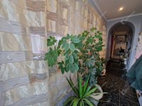 Eladó családi ház, Mocsán 57 M Ft, 4 szobás