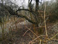 Eladó telek, Nagykapornakon 3.4 M Ft / költözzbe.hu