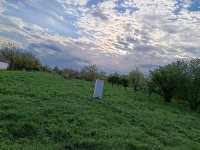 Eladó telek, Törökszentmiklóson 5.5 M Ft / költözzbe.hu