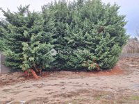 Eladó telek, XVI. kerületben 150 M Ft / költözzbe.hu