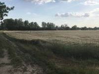 Eladó ipari ingatlan, Monoron 150 M Ft / költözzbe.hu