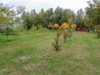 Eladó mezogazdasagi ingatlan