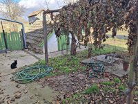 Eladó családi ház, Tápiószentmártonon 48 M Ft, 4 szobás