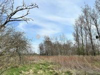 Eladó családi ház, Kenyerin 14.9 M Ft, 2 szobás