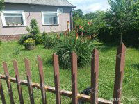 Eladó családi ház, Pacsán 39.9 M Ft, 3 szobás