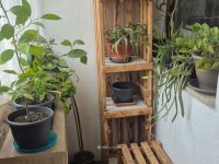 Eladó családi ház, Aranyosgadányban 31.5 M Ft, 2+2 szobás