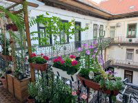 Eladó téglalakás, VII. kerületben 53.9 M Ft, 1 szobás