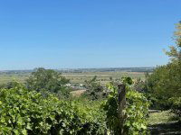 Eladó mezogazdasagi ingatlan