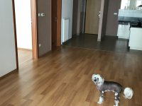 Kiadó téglalakás, albérlet