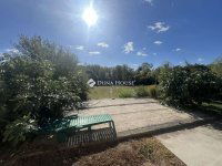 Eladó családi ház, Tiszaszigeten 45 M Ft, 2 szobás