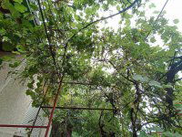 Eladó családi ház, Jászfényszarun 47.9 M Ft, 3 szobás