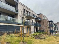 Kiadó téglalakás, albérlet