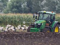 Eladó mezogazdasagi ingatlan, Helvécián, Gazdasági dűlőn