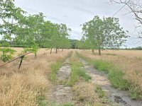 Eladó mezogazdasagi ingatlan, Kunszentmártonban 22 M Ft, 1 szobás