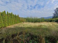 Eladó telek, Solymáron, Terstyánszky Ödön utcában 64 M Ft