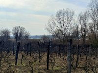 Eladó telek, Oroszlányban 8.7 M Ft / költözzbe.hu