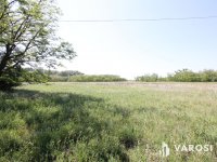 Eladó mezogazdasagi ingatlan, Balástyán 6.1 M Ft