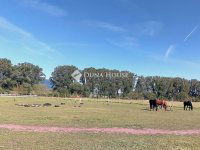 Eladó telek, Dorogon 224 M Ft / költözzbe.hu