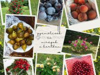 Eladó családi ház, Balatonvilágoson 149.9 M Ft, 4 szobás