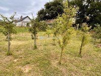 Eladó családi ház, Batykon 55 M Ft, 4 szobás