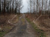 Eladó mezogazdasagi ingatlan, Zalaegerszegen 6 M Ft