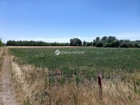 Eladó mezogazdasagi ingatlan, Szegeden 16 M Ft