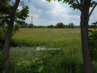Eladó ipari ingatlan, Balatonkeresztúron 199 M Ft