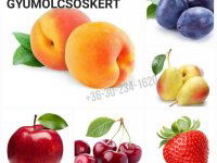 Eladó mezogazdasagi ingatlan, Vácon 29.9 M Ft, 1 szobás