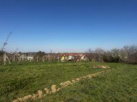 Eladó telek, Villányban 35 M Ft / költözzbe.hu