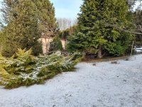 Eladó családi ház, Veresegyházon 135 M Ft, 6 szobás