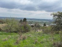 Eladó telek, Cserkúton 27.5 M Ft / költözzbe.hu