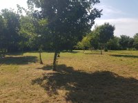 Eladó telek, Pakson 33.85 M Ft / költözzbe.hu