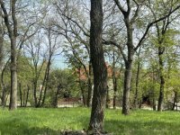 Eladó mezogazdasagi ingatlan, Balatonszepezden 34.9 M Ft