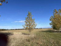 Eladó telek, Mezőörsön 16.5 M Ft / költözzbe.hu