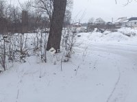 Eladó telek, Kókán 14.99 M Ft / költözzbe.hu