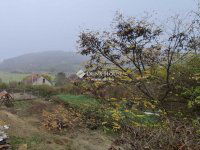 Eladó telek, Pándon 15.5 M Ft / költözzbe.hu