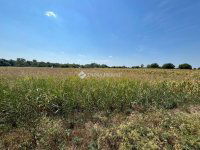 Eladó telek, Pátkán 4.5 M Ft / költözzbe.hu